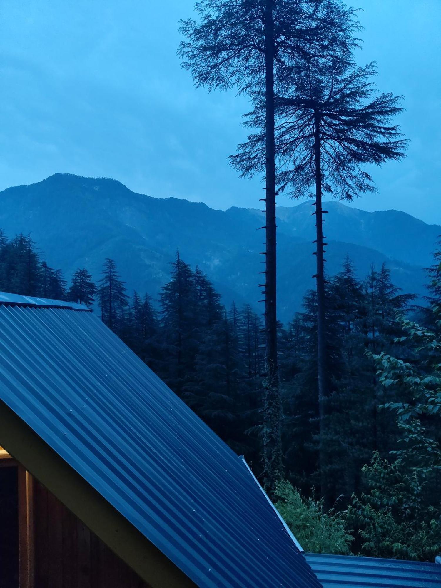 Forest View Cottage Jibhi Exteriör bild